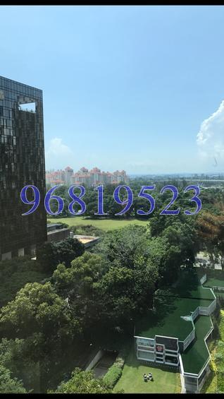 Duo Residences (D7), Apartment #216986321